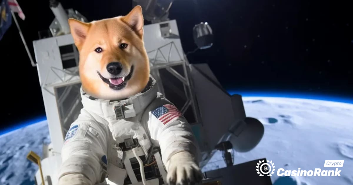 Astrobotiker schicken Dogecoin zum Mond: Eine gemeinsame Anstrengung in der Weltraumforschung