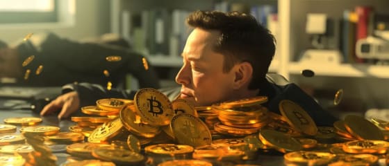 Die Twitter-Aktivität von Elon Musk löst eine optimistische Stimmung aus, da Bitcoin die 50.000-Dollar-Marke überschreitet